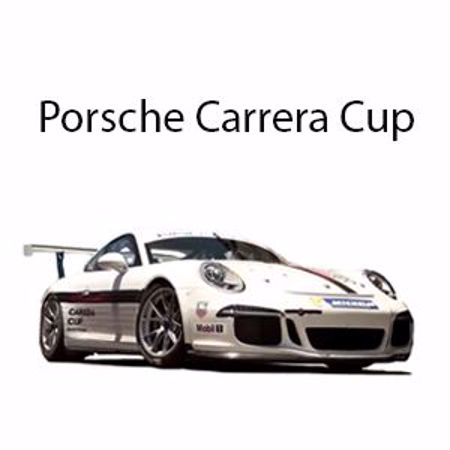 Picture for category Porsche Carrera Cup Car Items