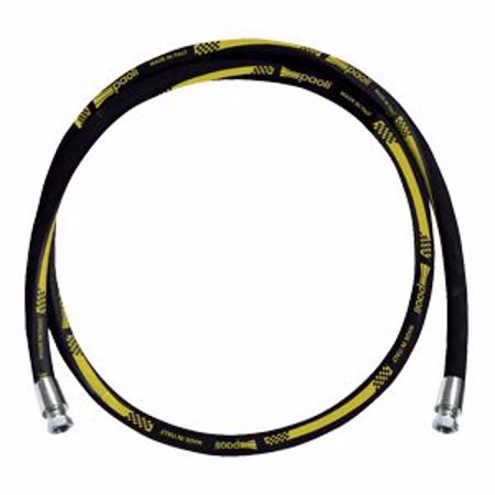 Picture for category Paoli Pitstop Hose Assemblies - 3/8" Female BSP Ends -  Straight Ends - BLACK