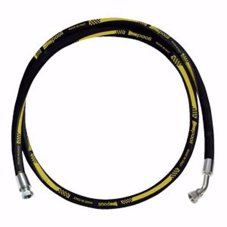 Picture for category Paoli Pitstop Hose Assemblies - 3/8" Female BSP Ends -  45 Degree & Straight Ends - BLACK