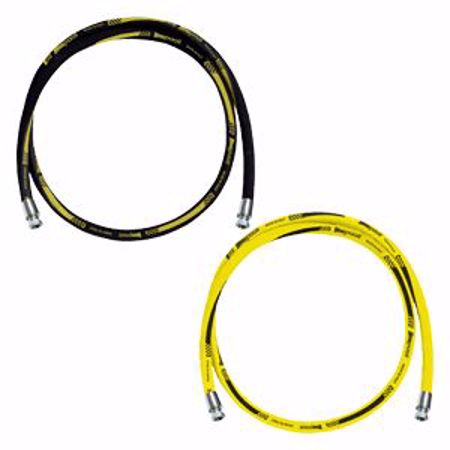 Picture for category Paoli Pitstop Hose Assemblies - 1/2" Female BSP Ends -  Straight Ends