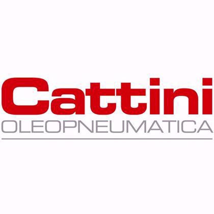 Picture for brand Cattini
