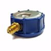 Picture of 0-450 BAR PRESSURE GAUGE (Inlet)