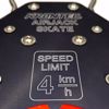 Picture of SKATES SET (4PCS) FORD MUSTANG GT4 Gen7