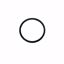 Picture of O RING