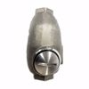 Picture of 3/4" IN-LINE LUBRICATOR   