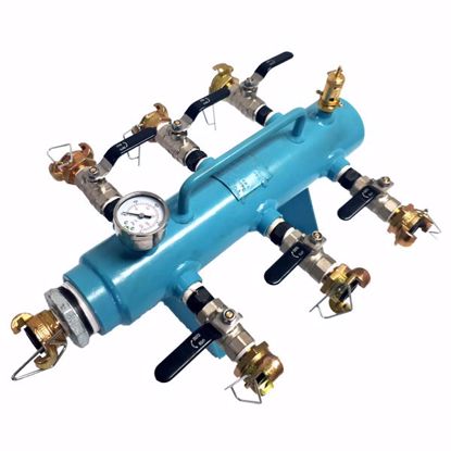 Picture of AIR MANIFOLD COMPLETE 6 OUT TYPE-A (PIG)   