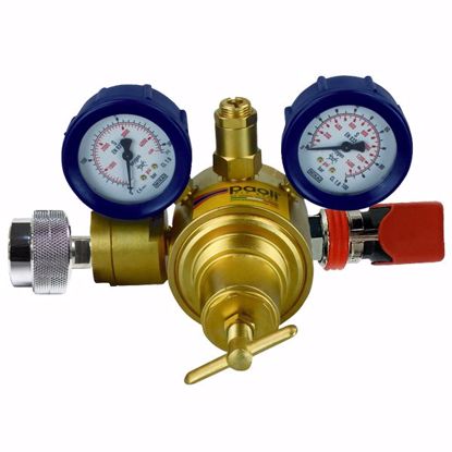 Picture of BALANCED REG C/W CHINA SPIGOT & FITTING   