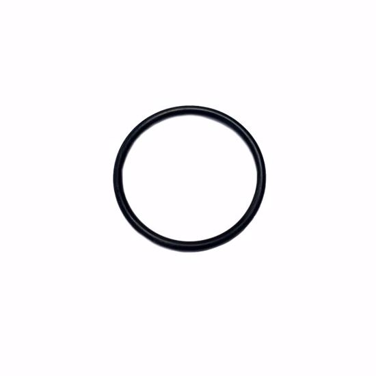 Picture of O RING   