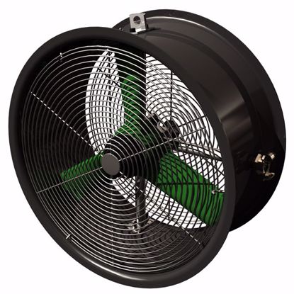 Picture of TYPHOON 500MM AIR VENTILATION FAN (FRAS)   