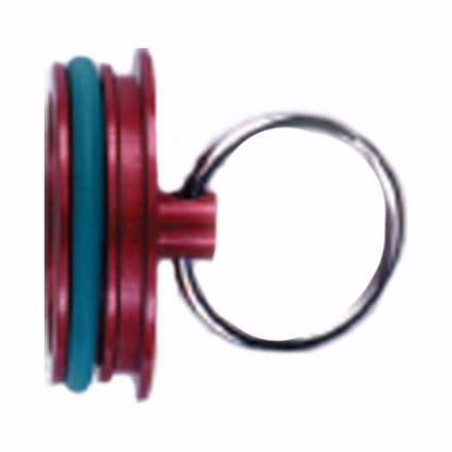 Picture of WIGGINS PLUG -32   