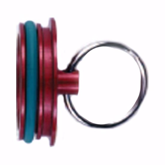 Picture of WIGGINS PLUG -32   